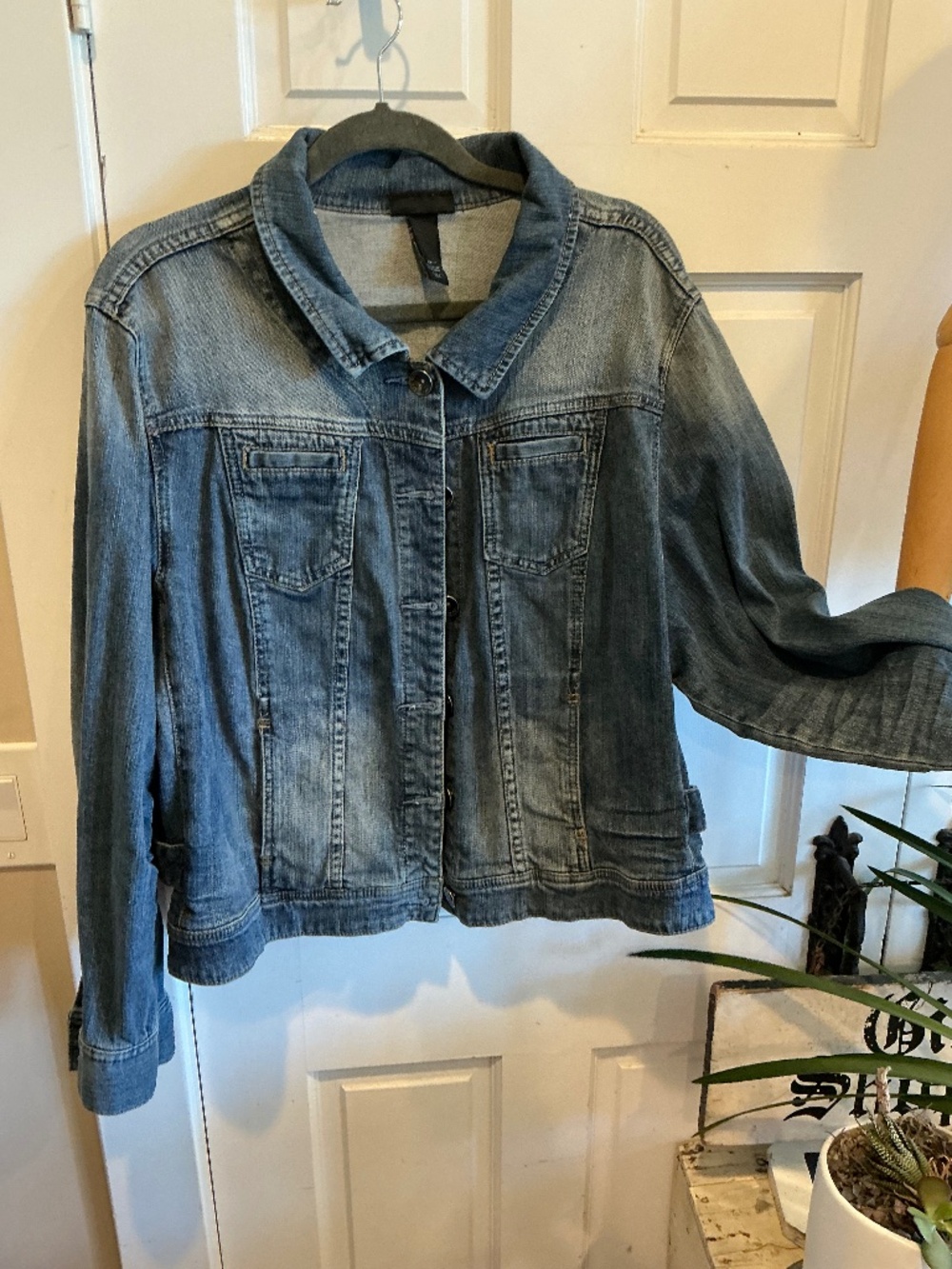Lane Bryant denim jacket!  Plus size 24